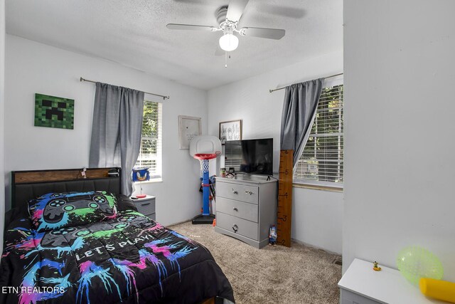 5617 Burbury Ln, Knoxville, TN 37921 - photo 20