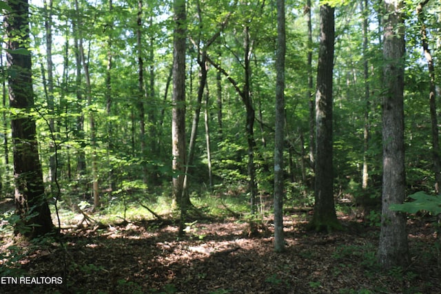 13585 N Nopone Valley Rd, Decatur, TN 37322 - photo 17