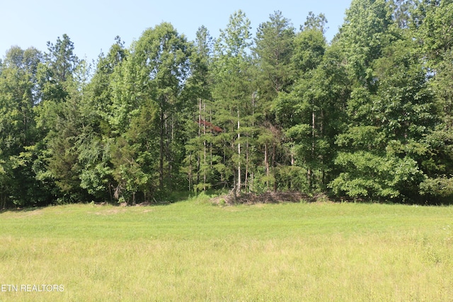 13585 N Nopone Valley Rd, Decatur, TN 37322 - photo 10