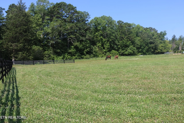 13585 N Nopone Valley Rd, Decatur, TN 37322 - photo 6