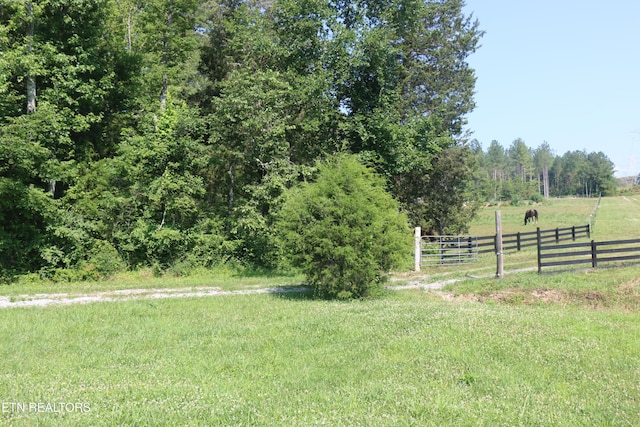 13585 N Nopone Valley Rd, Decatur, TN 37322 - photo 1