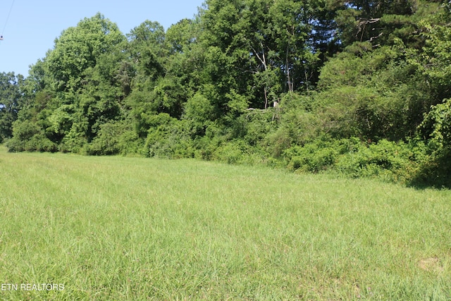 13585 N Nopone Valley Rd, Decatur, TN 37322 - photo 9