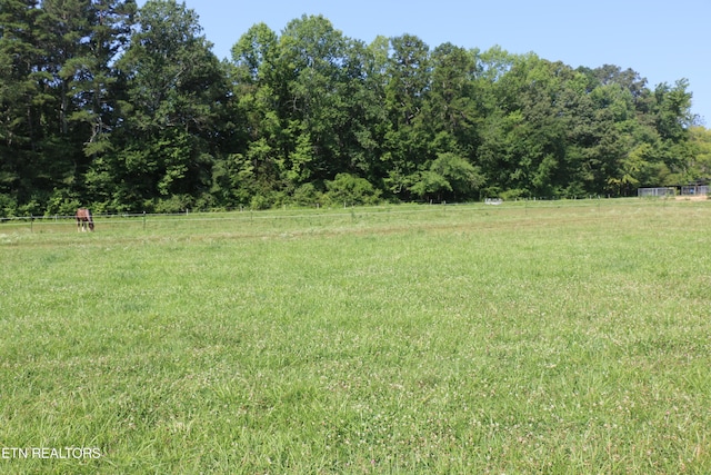 13585 N Nopone Valley Rd, Decatur, TN 37322 - photo 8