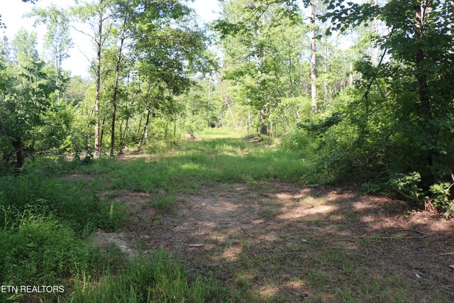 13585 N Nopone Valley Rd, Decatur, TN 37322 - photo 22