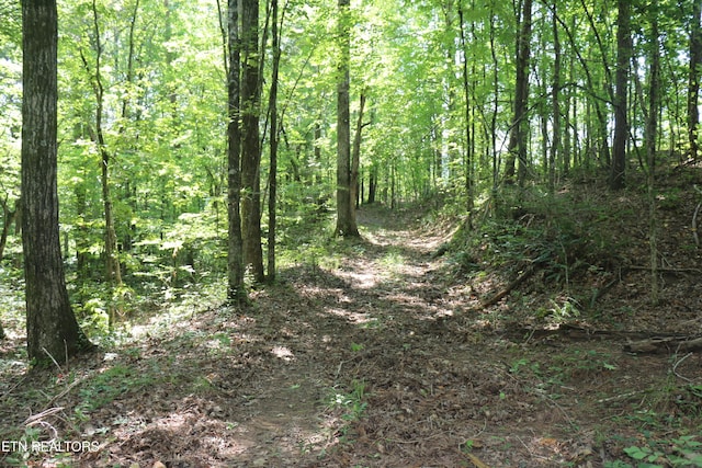 13585 N Nopone Valley Rd, Decatur, TN 37322 - photo 24