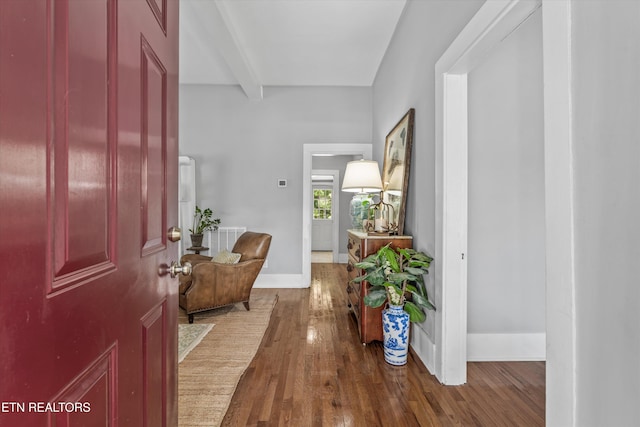 1232 Armstrong Ave, Knoxville, TN 37917 - photo 7