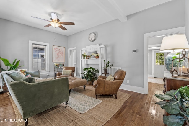 1232 Armstrong Ave, Knoxville, TN 37917 - photo 8