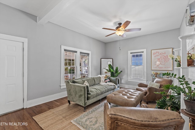 1232 Armstrong Ave, Knoxville, TN 37917 - photo 9