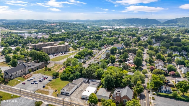 1232 Armstrong Ave, Knoxville, TN 37917 - photo 41