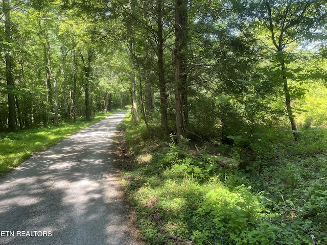 Blizzard Mine Rd, Harriman, TN 37748 - photo 1