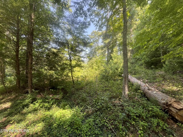 Blizzard Mine Rd, Harriman, TN 37748 - photo 2