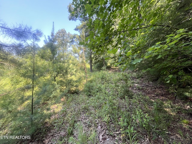 Blizzard Mine Rd, Harriman, TN 37748 - photo 3