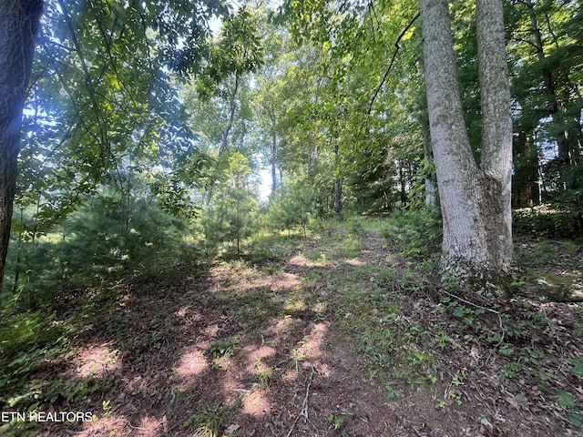 Blizzard Mine Rd, Harriman, TN 37748 - photo 5