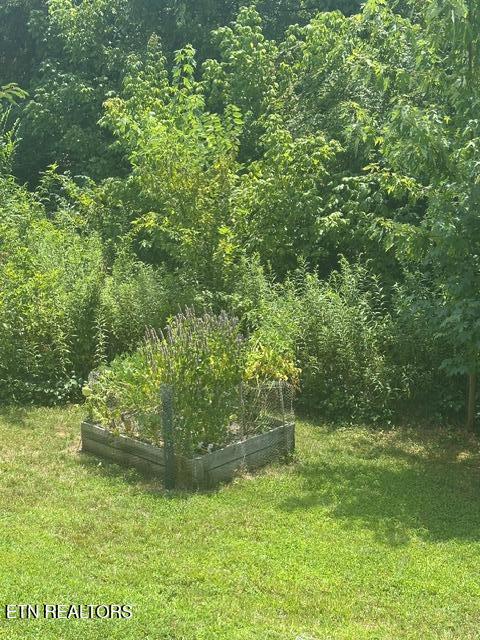 2130 Leah Ln, Maryville, TN 37803 - photo 33