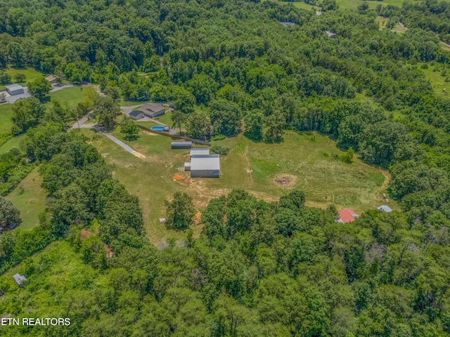 1607 Tom Mccall Rd, Maryville, TN 37801 - photo 46