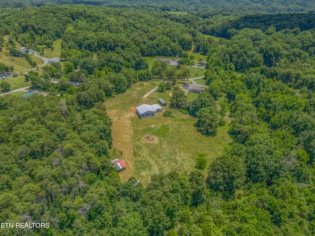 1607 Tom Mccall Rd, Maryville, TN 37801 - photo 47