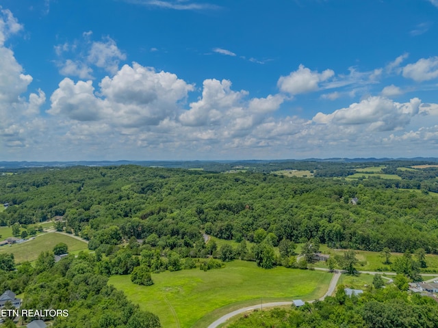 1607 Tom Mccall Rd, Maryville, TN 37801 - photo 50