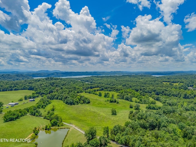 1607 Tom Mccall Rd, Maryville, TN 37801 - photo 51