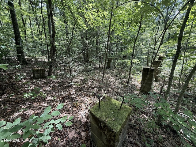 0 Goose Creek Rd, Seymour, TN 37865 - photo 2