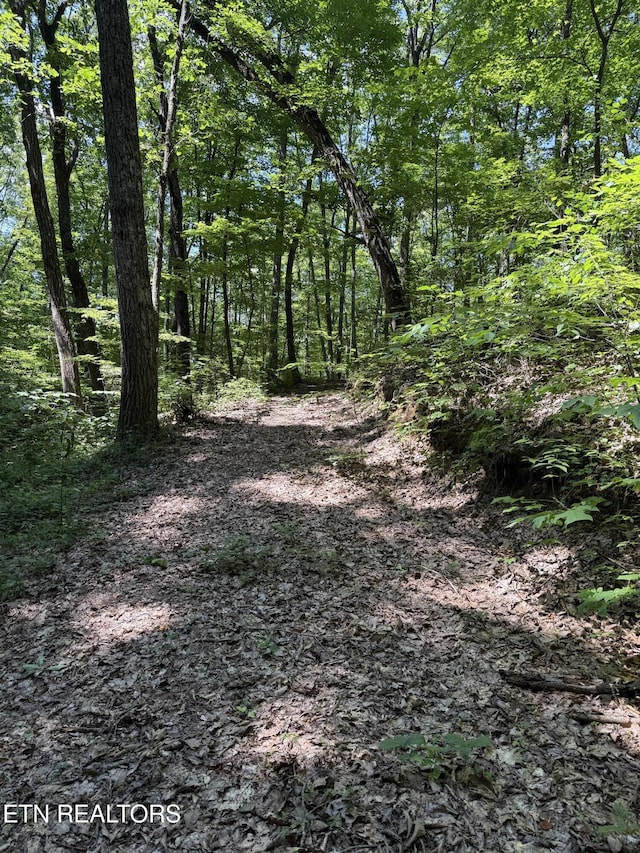 0 Goose Creek Rd, Seymour, TN 37865 - photo 4