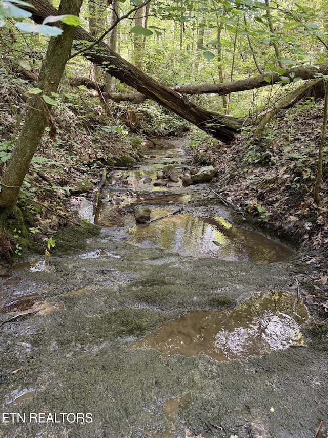 0 Goose Creek Rd, Seymour, TN 37865 - photo 1