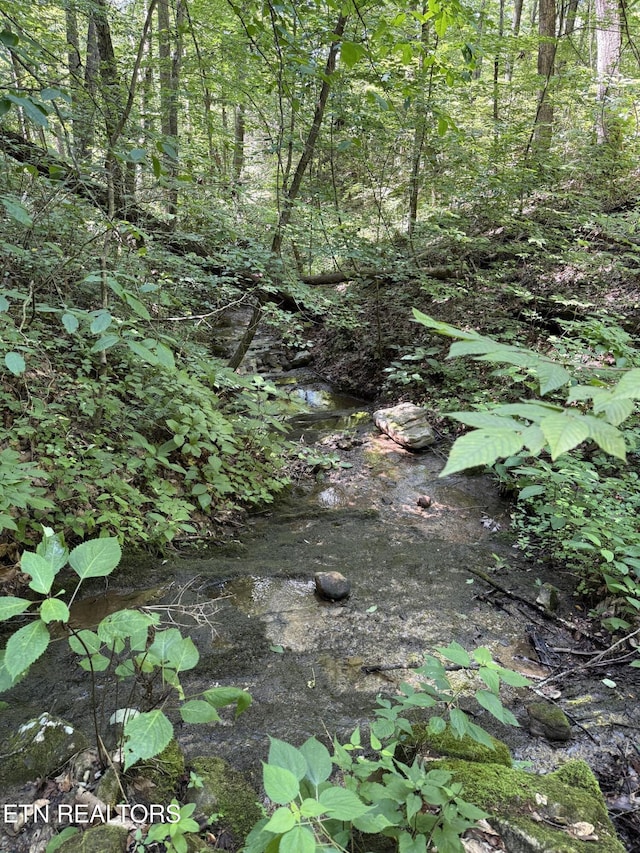 0 Goose Creek Rd, Seymour, TN 37865 - photo 6