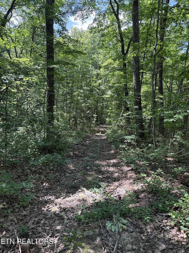 0 Goose Creek Rd, Seymour, TN 37865 - photo 7