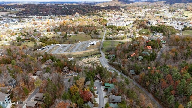 3420 Pebble Stone Way, Pigeon Forge, TN 37863