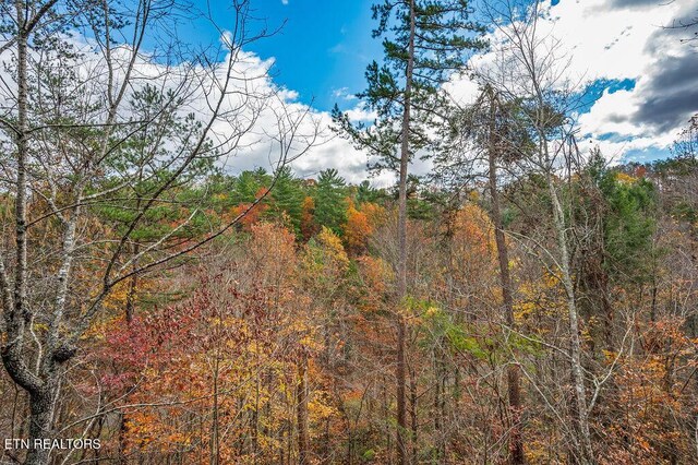 3420 Pebble Stone Way, Pigeon Forge, TN 37863