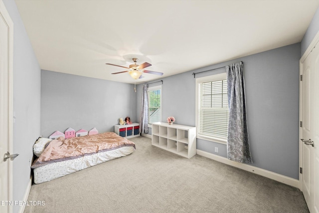 12019 Woodhollow Ln, Knoxville, TN 37932 - photo 27