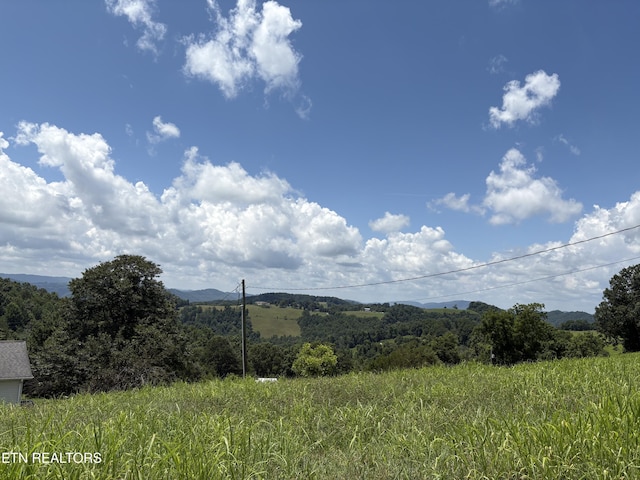 1370 Raven Hill Rd, Tazewell, TN 37879 - view of mountain background featuring a forest