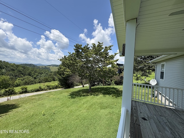 1370 Raven Hill Rd, Tazewell, TN 37879 - view of green lawn