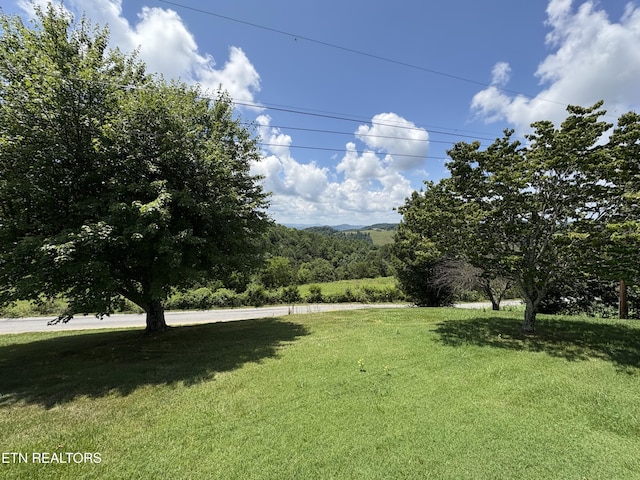 1370 Raven Hill Rd, Tazewell, TN 37879 - view of green lawn