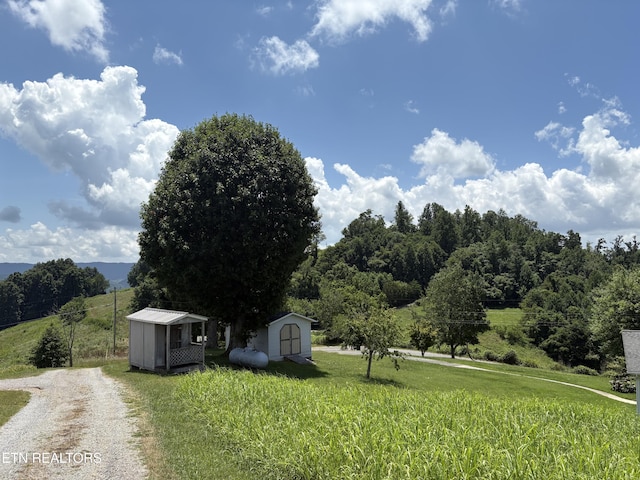 1370 Raven Hill Rd, Tazewell, TN 37879 - view of road