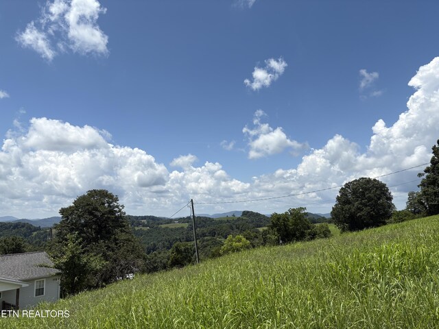 1370 Raven Hill Rd, Tazewell, TN 37879 - view of mountain background