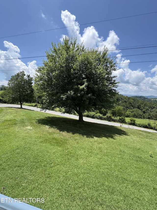 1370 Raven Hill Rd, Tazewell, TN 37879 - view of green lawn