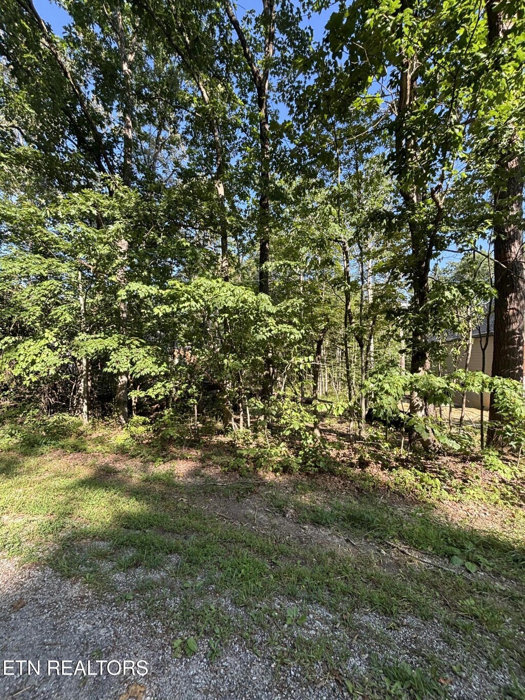 152 Adler Ln, Crossville, TN 38558 - photo 1