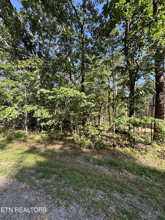 152 Adler Ln, Crossville, TN 38558 - photo 1