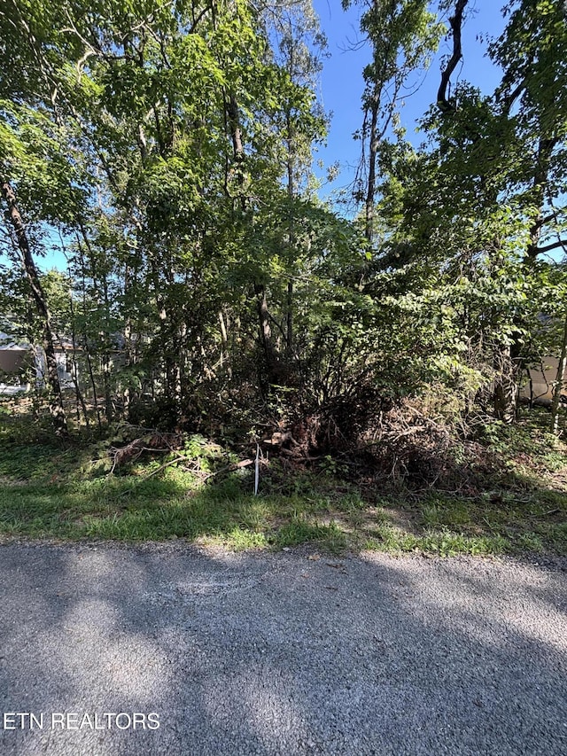 152 Adler Ln, Crossville, TN 38558 - photo 2
