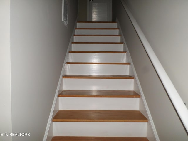 682 Shadywood Ln, Knoxville, TN 37923 - photo 6