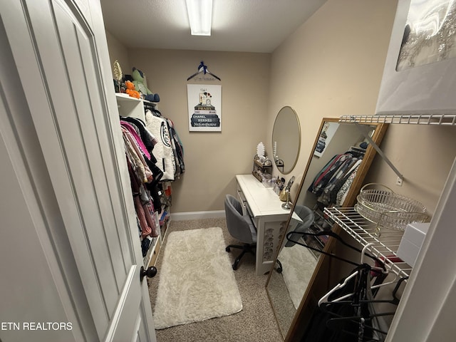 7213 Deer Springs Way, Powell, TN 37849 - photo 14