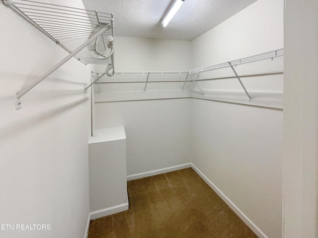 746 Whippoorwill Cir, Seymour, TN 37865 - photo 21