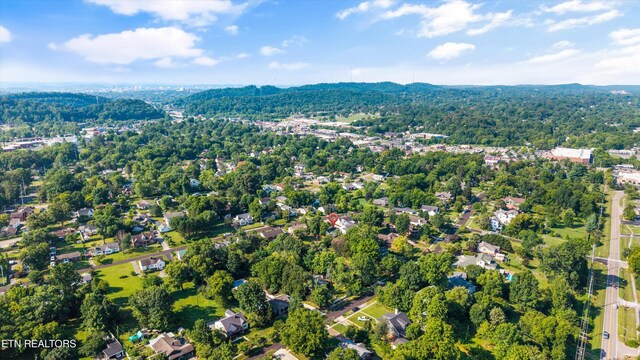 205 Doughty Dr, Knoxville, TN 37918 - photo 37