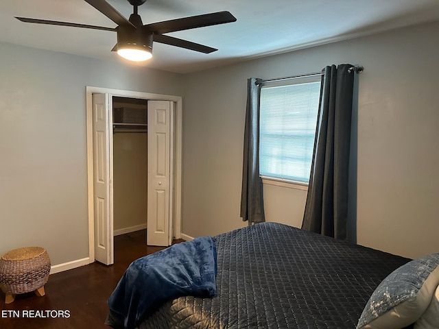 8024 Sharp Rd, Powell, TN 37849 - bedroom with wood finished floors, a ceiling fan, and a closet