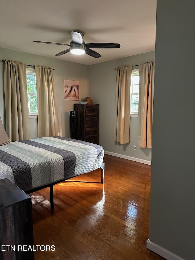 8024 Sharp Rd, Powell, TN 37849 - bedroom with multiple windows, wood finished floors, and ceiling fan