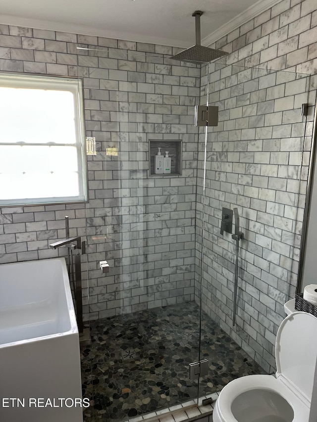 8024 Sharp Rd, Powell, TN 37849 - full bathroom with a shower stall and crown molding