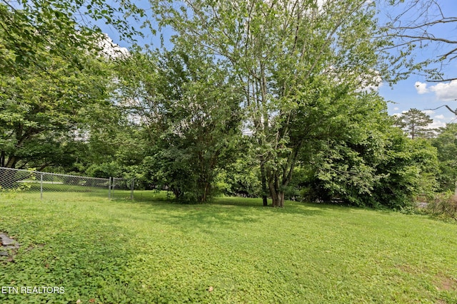 403 Hickory St, Clinton, TN 37716 - photo 6
