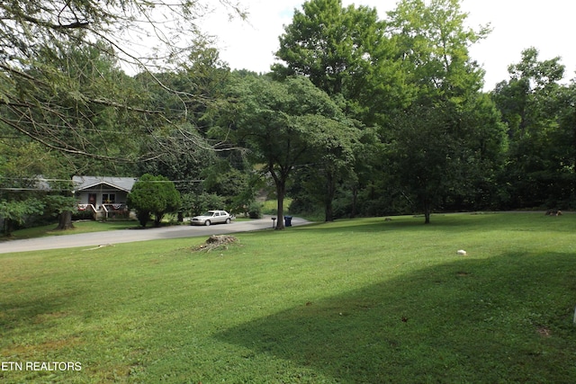 136 Longview Dr, Harriman, TN 37748 - photo 54