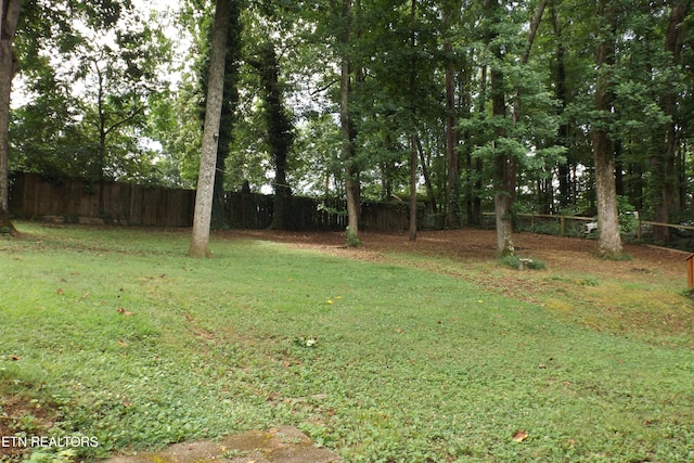 136 Longview Dr, Harriman, TN 37748 - photo 47