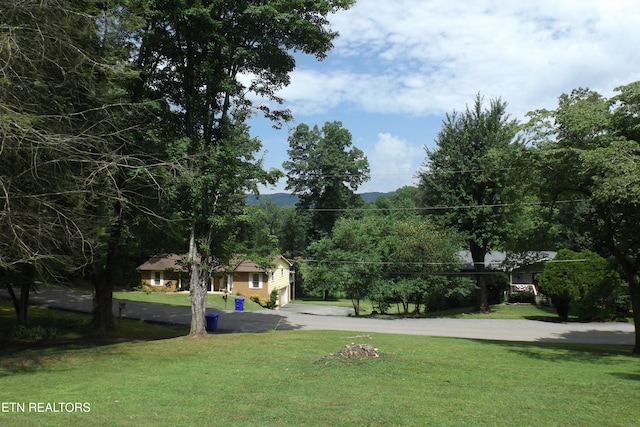 136 Longview Dr, Harriman, TN 37748 - photo 48